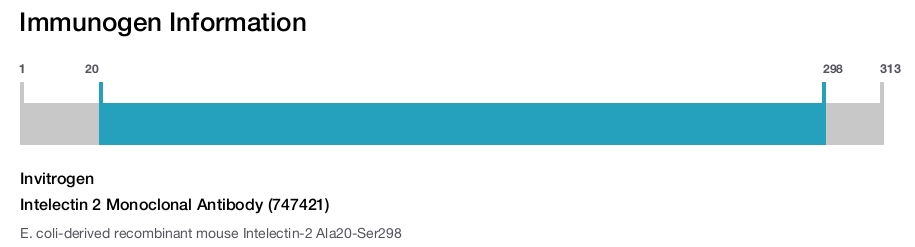 Intelectin 2 Monoclonal Antibody (747421)