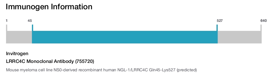 LRRC4C Monoclonal Antibody (755720)