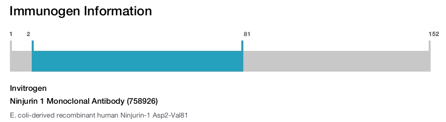 Ninjurin 1 Monoclonal Antibody (758926)