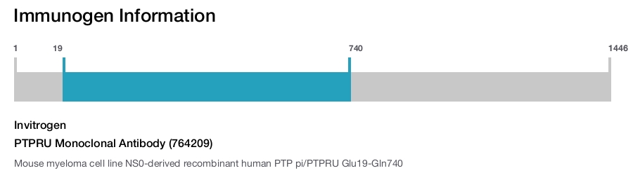 PTPRU Monoclonal Antibody (764209)
