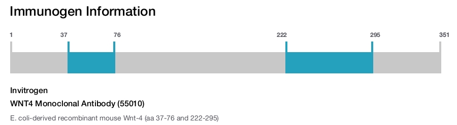 WNT4 Monoclonal Antibody (55010)