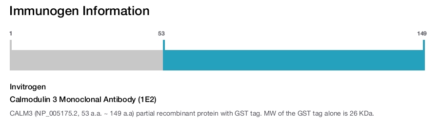 Calmodulin 3 Monoclonal Antibody (1E2)