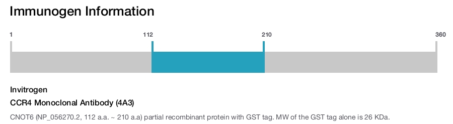 CCR4 Monoclonal Antibody (4A3)