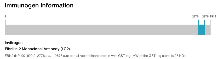 Fibrillin 2 Monoclonal Antibody (1C2)