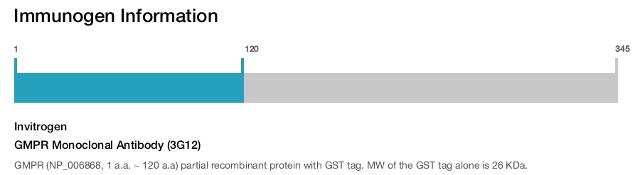 GMPR Monoclonal Antibody (3G12)