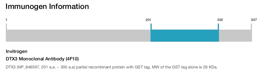 DTX3 Monoclonal Antibody (4F10)
