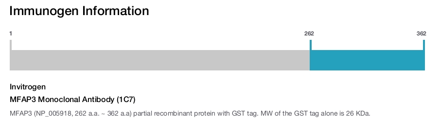 MFAP3 Monoclonal Antibody (1C7)
