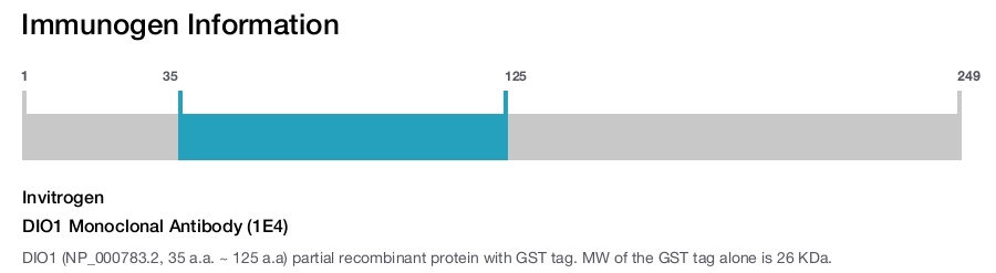 DIO1 Monoclonal Antibody (1E4)