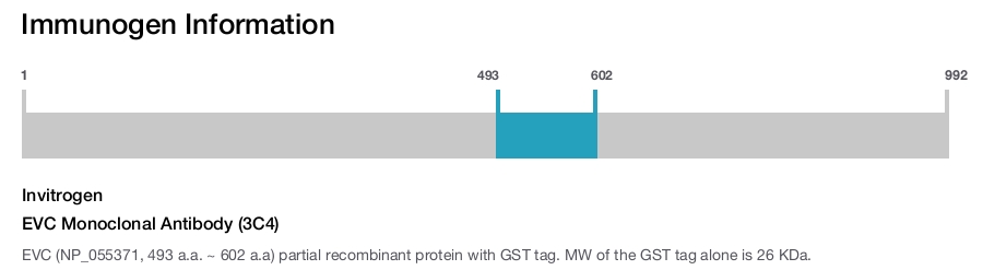 EVC Monoclonal Antibody (3C4)