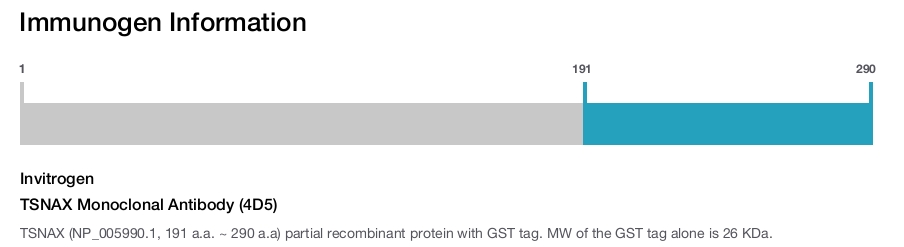 TSNAX Monoclonal Antibody (4D5)