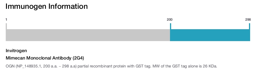 Mimecan Monoclonal Antibody (2G4)
