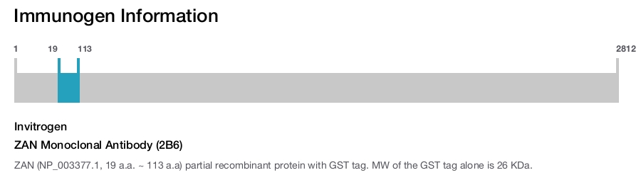 ZAN Monoclonal Antibody (2B6)