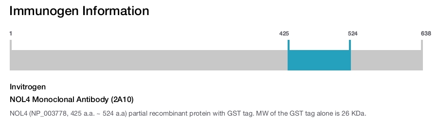 NOL4 Monoclonal Antibody (2A10)