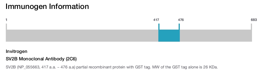SV2B Monoclonal Antibody (2C6)