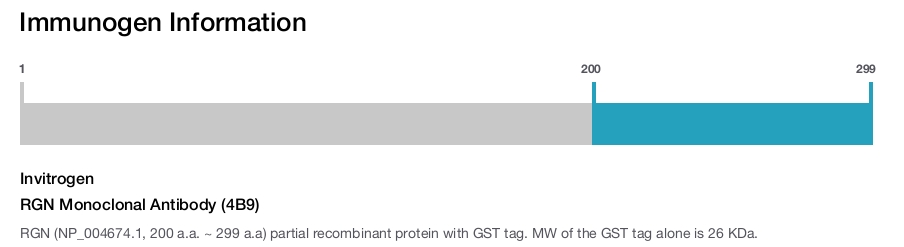 RGN Monoclonal Antibody (4B9)
