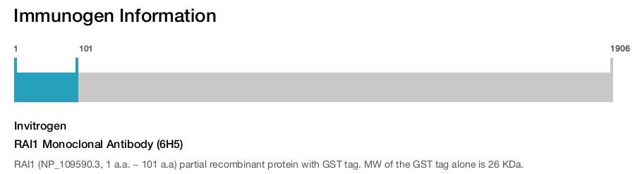RAI1 Monoclonal Antibody (6H5)