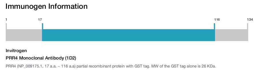 PRR4 Monoclonal Antibody (1D2)
