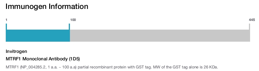 MTRF1 Monoclonal Antibody (1D5)