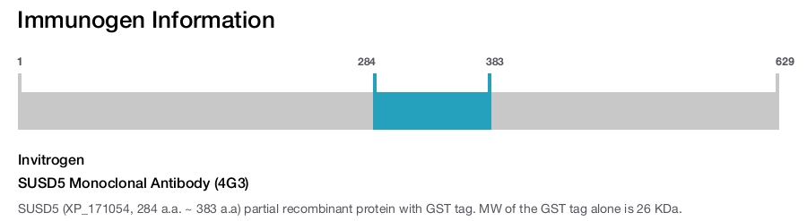 SUSD5 Monoclonal Antibody (4G3)