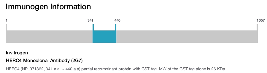 HERC4 Monoclonal Antibody (2G7)