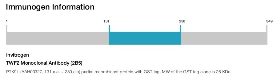 TWF2 Monoclonal Antibody (2B5)