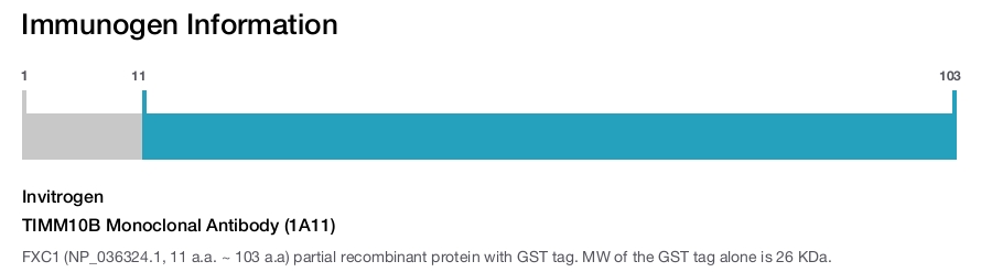 TIMM10B Monoclonal Antibody (1A11)