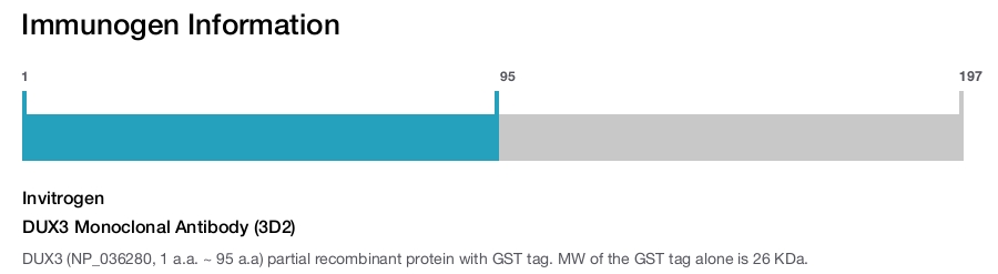 DUX3 Monoclonal Antibody (3D2)