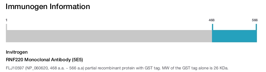 RNF220 Monoclonal Antibody (5E5)