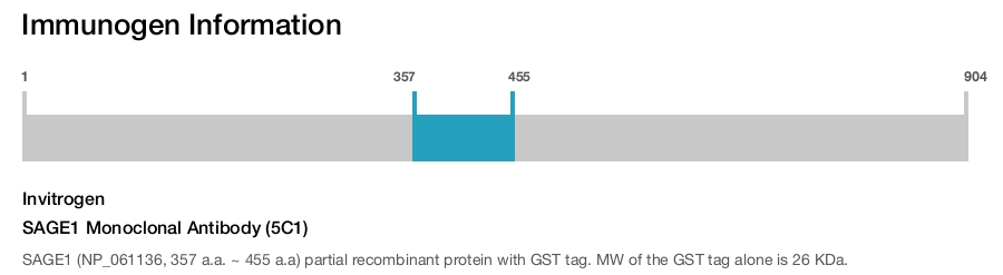 SAGE1 Monoclonal Antibody (5C1)