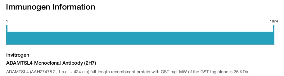 ADAMTSL4 Monoclonal Antibody (2H7)