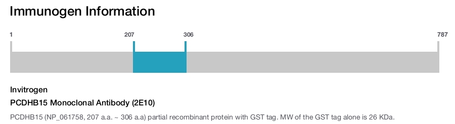 PCDHB15 Monoclonal Antibody (2E10)