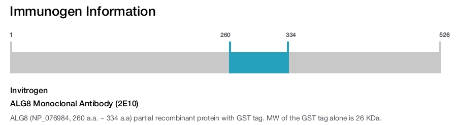 ALG8 Monoclonal Antibody (2E10)
