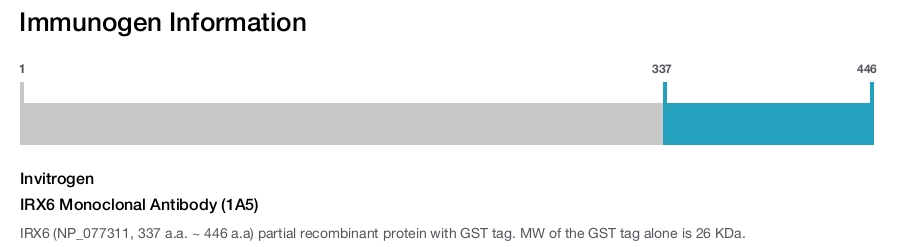 IRX6 Monoclonal Antibody (1A5)