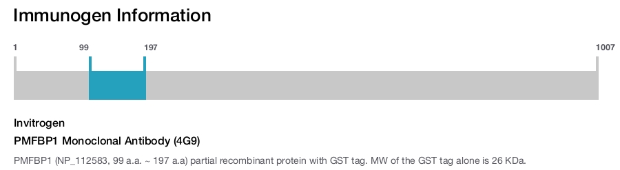 PMFBP1 Monoclonal Antibody (4G9)