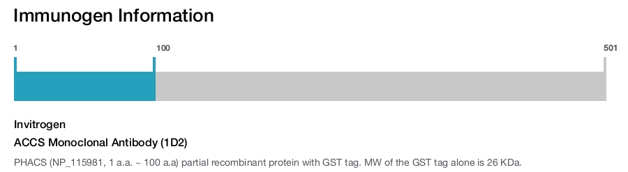 ACCS Monoclonal Antibody (1D2)