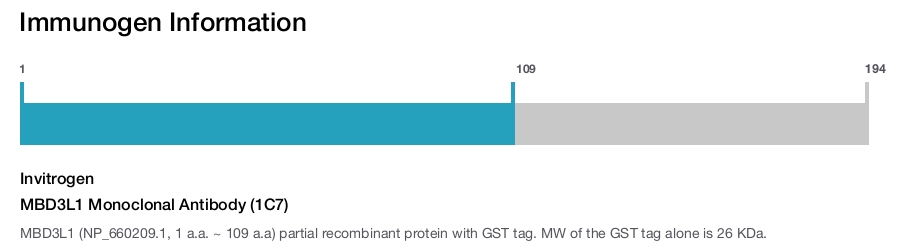 MBD3L1 Monoclonal Antibody (1C7)
