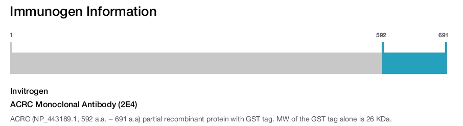 ACRC Monoclonal Antibody (2E4)