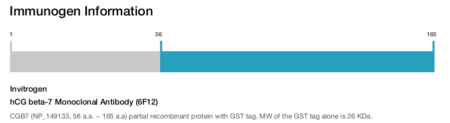 hCG beta-7 Monoclonal Antibody (6F12)