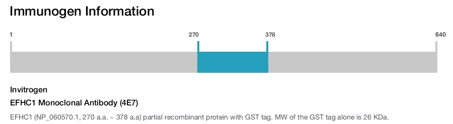 EFHC1 Monoclonal Antibody (4E7)