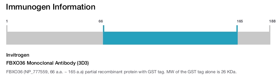FBXO36 Monoclonal Antibody (3D3)