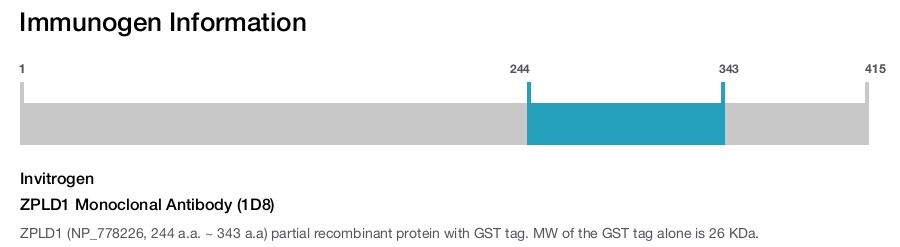 ZPLD1 Monoclonal Antibody (1D8)