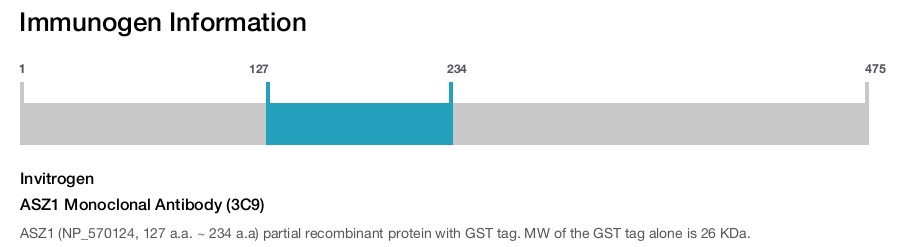 ASZ1 Monoclonal Antibody (3C9)