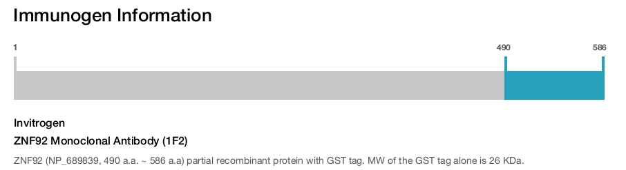 ZNF92 Monoclonal Antibody (1F2)