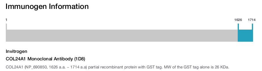 COL24A1 Monoclonal Antibody (1D8)