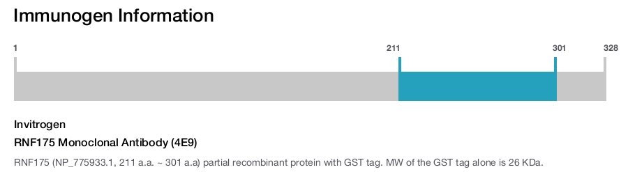 RNF175 Monoclonal Antibody (4E9)