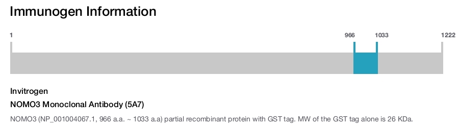NOMO3 Monoclonal Antibody (5A7)