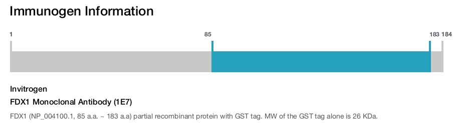 FDX1 Monoclonal Antibody (1E7)