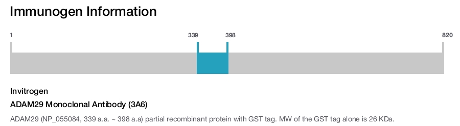 ADAM29 Monoclonal Antibody (3A6)