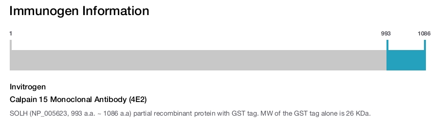 Calpain 15 Monoclonal Antibody (4E2)