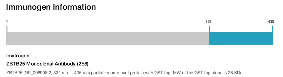 ZBTB25 Monoclonal Antibody (2E8)